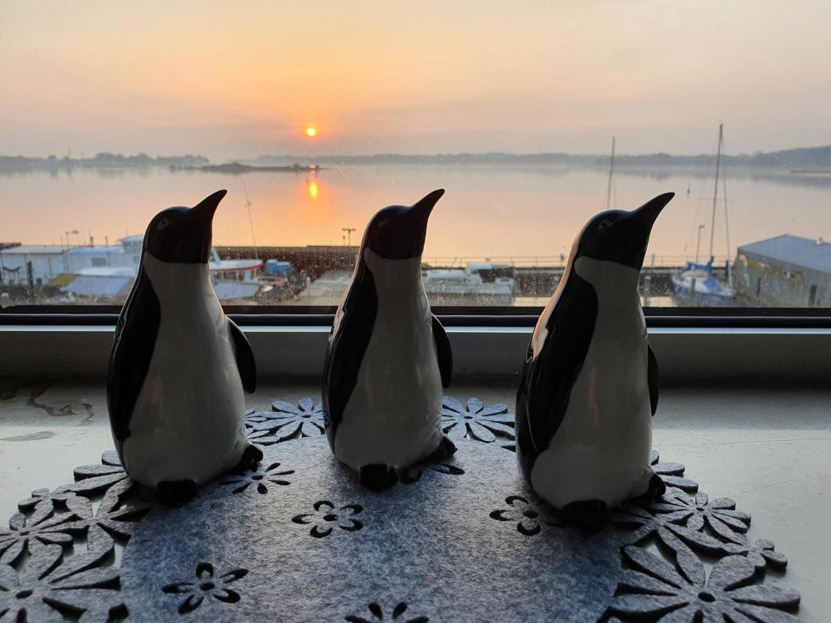 Ferienwohnung Schleiloge Mit Panoramablick Auf Die Schlei Шлезвіг Екстер'єр фото